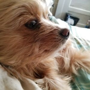 Meet your Posher, Elizabeth